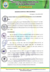 Vista preliminar de documento ORDENANZA 009