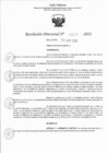 Vista preliminar de documento RJ 1235-2023