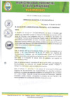 Vista preliminar de documento ORDENANZA 010