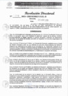 Vista preliminar de documento RJ 1239-2023