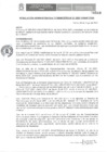 Vista preliminar de documento RAF N° 021-2021