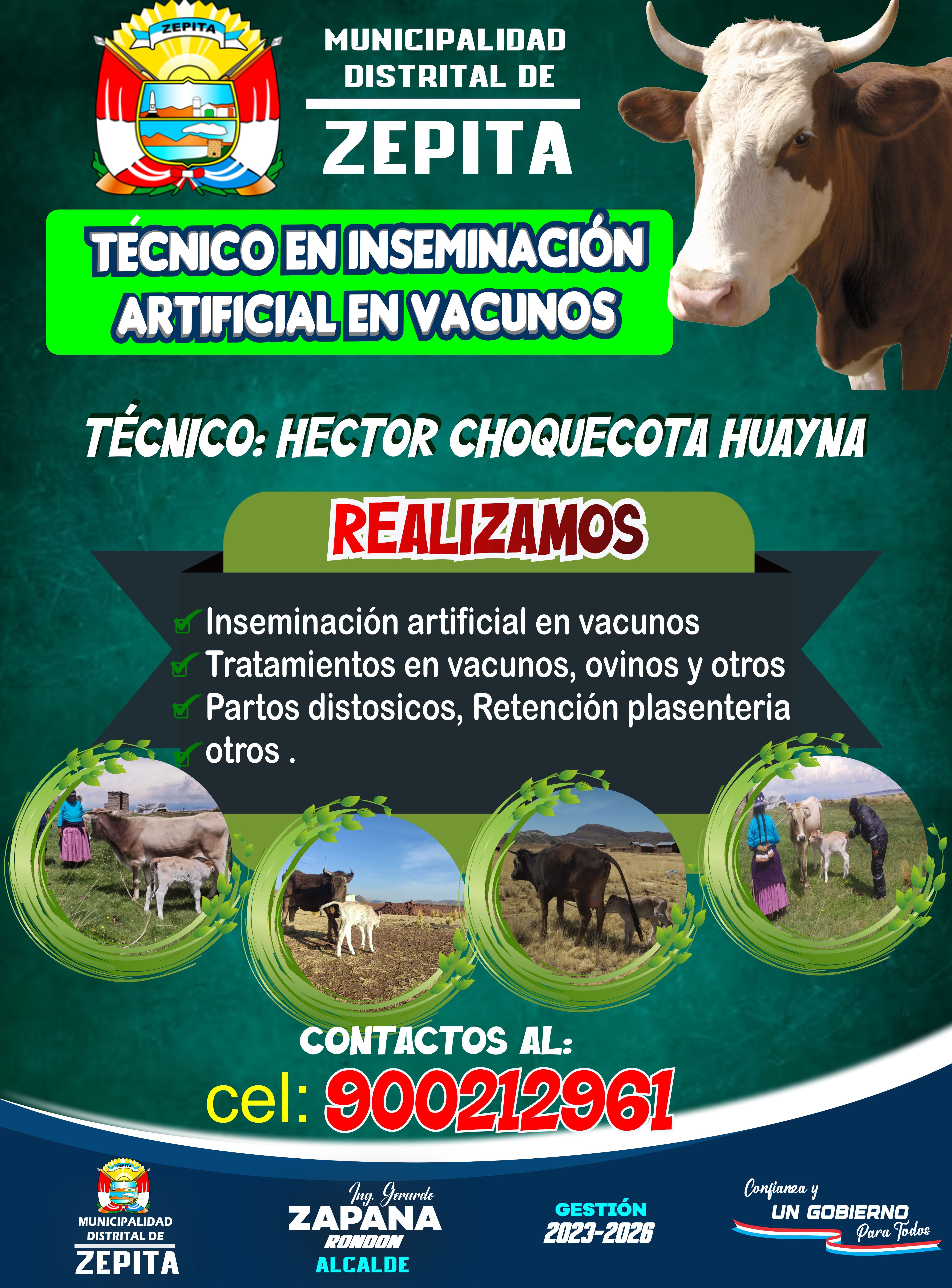 Mejoramiento Genético de vacuno mediante inseminación artificial.