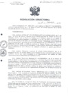 Vista preliminar de documento RD-273-2012-SA-DS-HNCH-DG