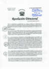 Vista preliminar de documento RD-394-2023-HNHU-DG-UP