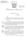 Vista preliminar de documento RD-2023-00376-999