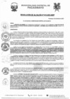 Vista preliminar de documento R2023-410