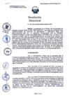 Vista preliminar de documento RES-DIR-24-01