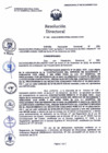 Vista preliminar de documento RES-DIR-24-04