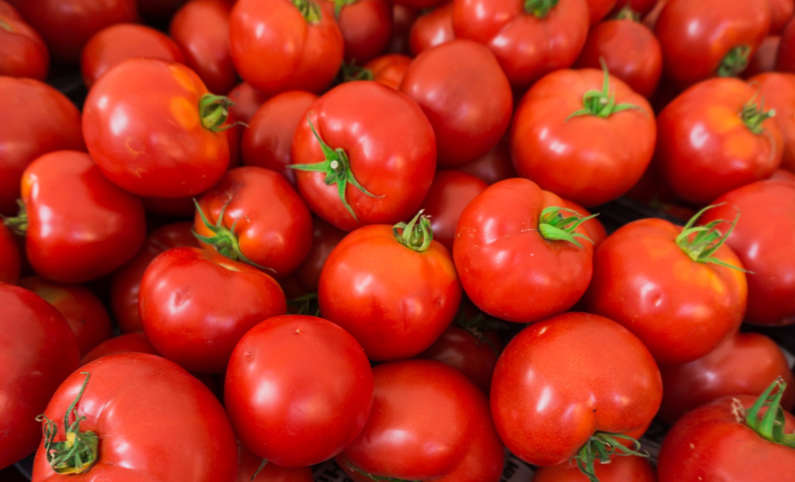 Abastecimiento de alimentos a los mercados mayoristas supera las 11 mil toneladas