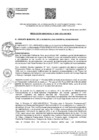 Vista preliminar de documento RGM 001-2024