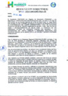 Vista preliminar de documento R.D. Nº 455-2023-GRH-GRDS-DRS-RSA-DE