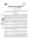 Vista preliminar de documento RDR Nº 4223-2023-GRSM-DRE