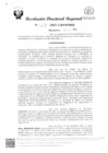 Vista preliminar de documento RDR Nº 4238-2023-GRSM-DRE