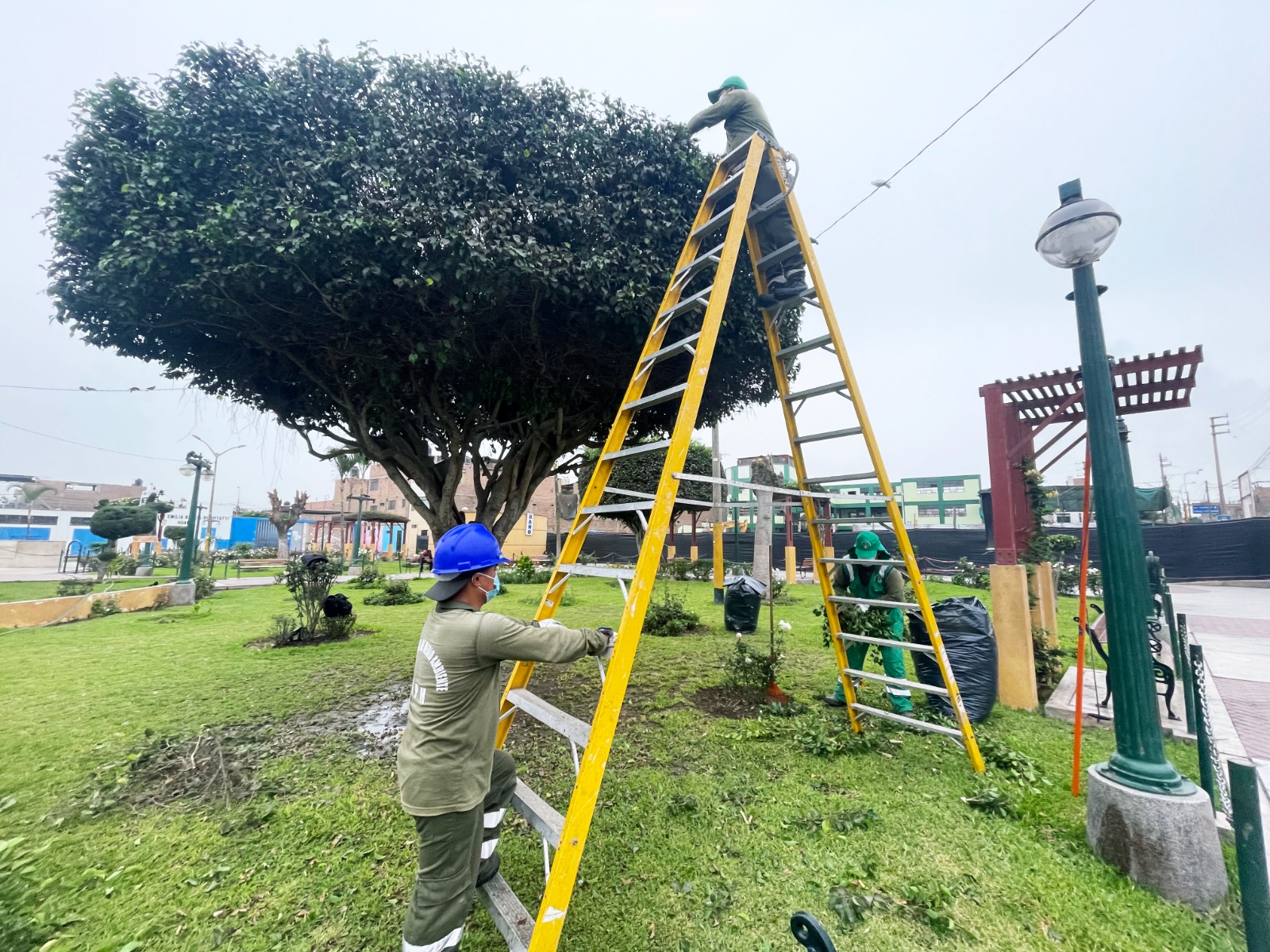 MPH desarrollΓ³ labores de mantenimiento de Γ‘reas verdes en el parque de La Cultura