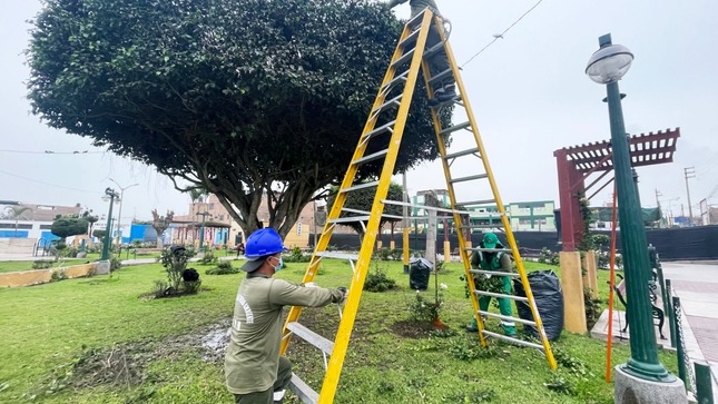 MPH desarrolló labores de mantenimiento de áreas verdes en el parque de La Cultura