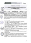 Vista preliminar de documento 016-2020-PRONIS