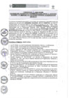 Vista preliminar de documento 018-2020-PRONIS