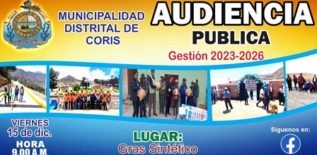 Audiencia publica