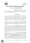 Vista preliminar de documento RDR Nº 4261-2023-GRSM-DRE
