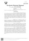 Vista preliminar de documento RDR Nº 4262-2023-GRSM-DRE