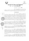 Vista preliminar de documento RDR Nº 4267-2023-GRSM-DRE