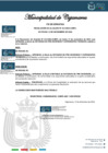 Vista preliminar de documento FE_ERRATAS 412-2023