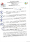 Vista preliminar de documento RD N 1287