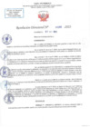 Vista preliminar de documento RD N 1290