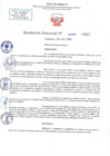 Vista preliminar de documento RD N 1291