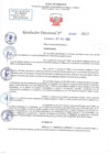 Vista preliminar de documento RD N 1292