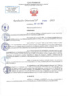 Vista preliminar de documento RD N 1293