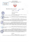 Vista preliminar de documento RD N 1294