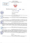 Vista preliminar de documento RD N 1295