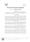 Vista preliminar de documento RDR Nº 4255-2023-GRSM-DRE