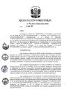 Vista preliminar de documento RD 106-2020