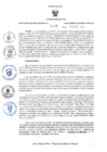 Vista preliminar de documento RES-008-2024-GR