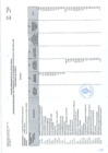 Vista preliminar de documento PIA 2024