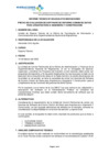 Vista preliminar de documento INFORME TECNICO Nº 009-2022-OTIC, EVALUACION DE SOFTWARE DE ENTORNO COMUN DE DATOS PARA ARQUITECTURA E INGENIERIA Y CONSTRUCCION