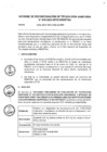 Vista preliminar de documento Informe de recomendación de Tecnología Sanitaria N° 18-2023-IETSI-RENETSA - SORAFENIB