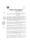 Vista preliminar de documento RDR Nº 3843-2023-GRSM-DRE