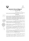 Vista preliminar de documento RDR Nº 3846-2023-GRSM-DRE