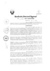 Vista preliminar de documento RDR Nº 3847-2023-GRSM-DRE