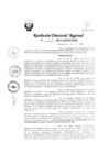 Vista preliminar de documento RDR Nº 3852-2023-GRSM-DRE