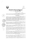 Vista preliminar de documento RDR Nº 3856-2023-GRSM-DRE