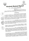 Vista preliminar de documento RDR Nº 3736-2023-GRSM-DRE