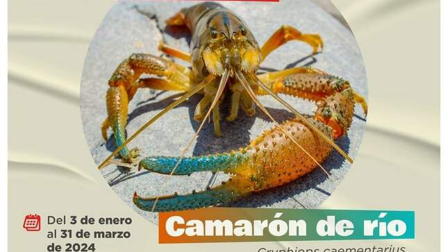 imagen jpg