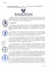 Vista preliminar de documento RES-DIR-24-13
