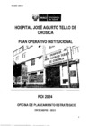 Vista preliminar de documento Plan Operativo Institucional 2024