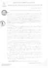 Vista preliminar de documento RGMN002-2024