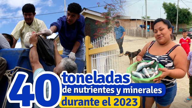 Nota de prensa